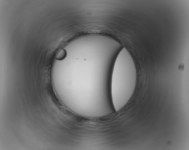 X0000115530743200911061126
