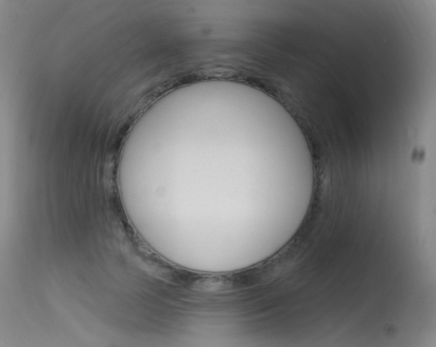 X0000115530745200911061127