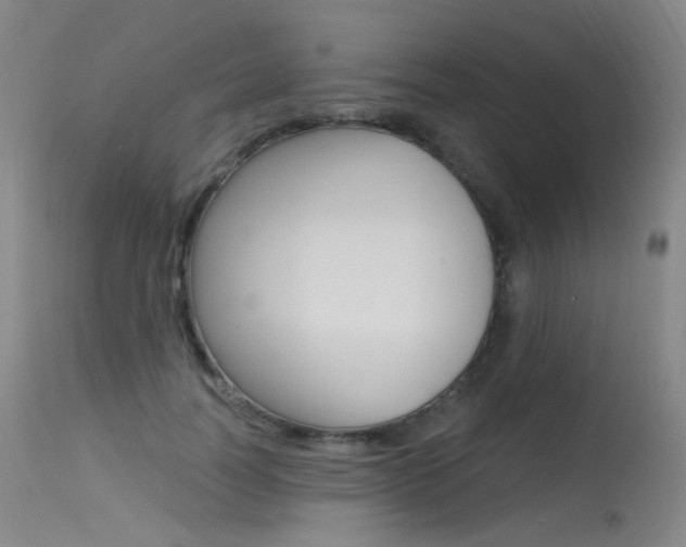 X0000115530746200911061127
