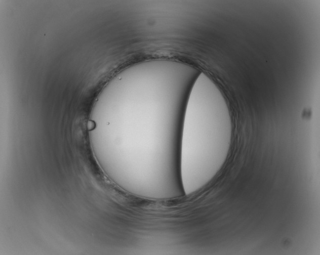 X0000115530747200911061127