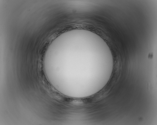 X0000115530749200911061127