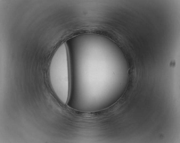 X0000115530750200911061127