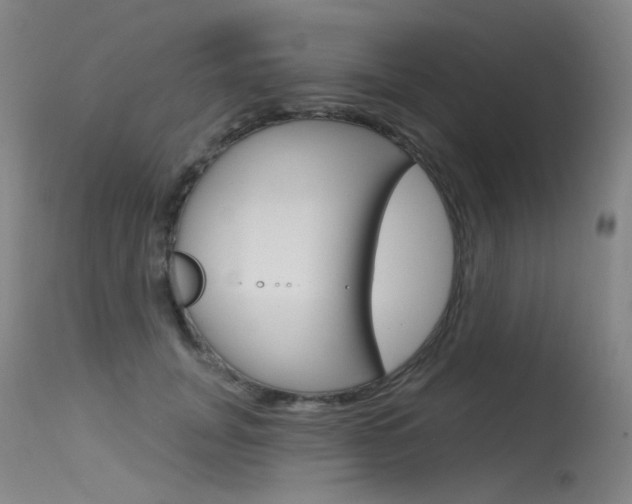 X0000115530751200911061127