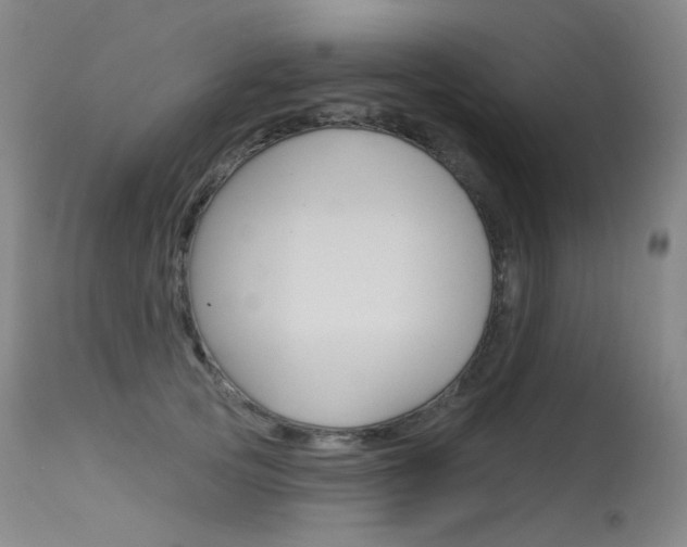 X0000115530753200911061127
