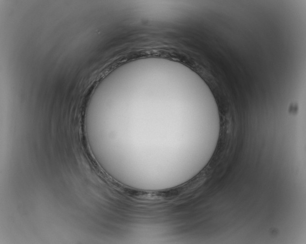 X0000115530754200911061127