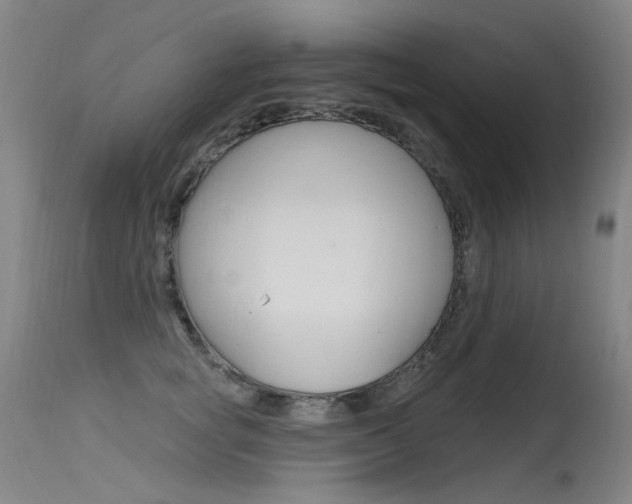 X0000115530757200911061127