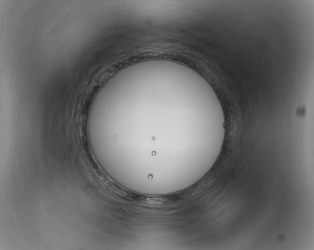 X0000115530758200911061127