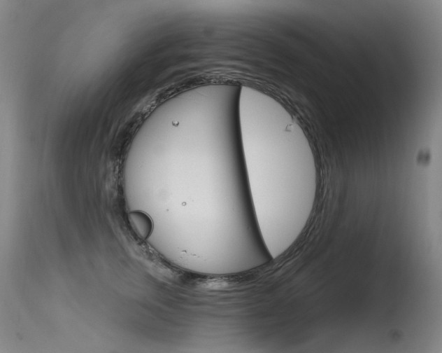 X0000115530759200911061127