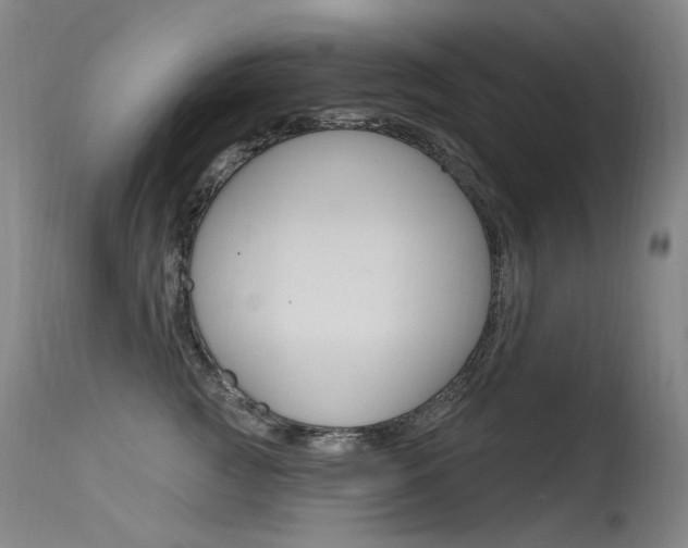 X0000115530761200911061127