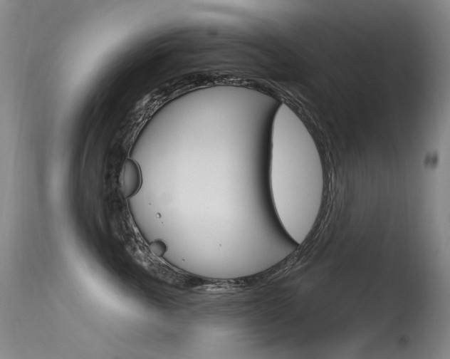 X0000115530763200911061127