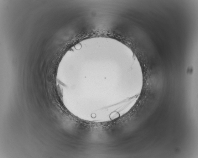 X0000115530769200911061126