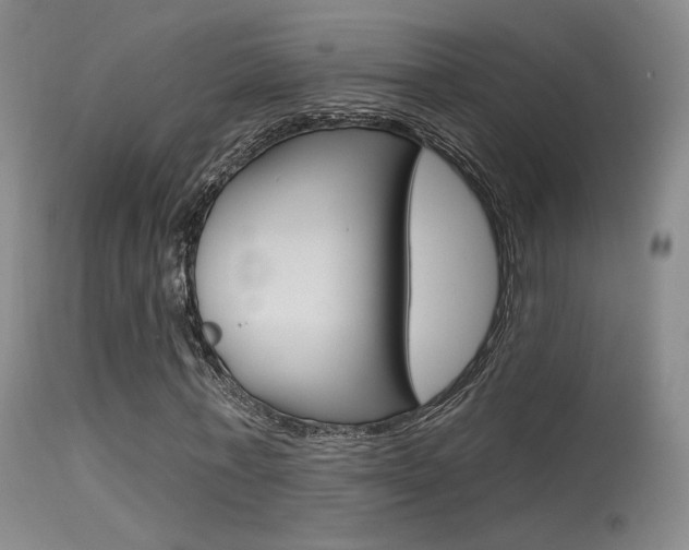 X0000115530771200911061126