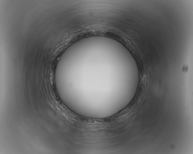 X0000115530772200911061126