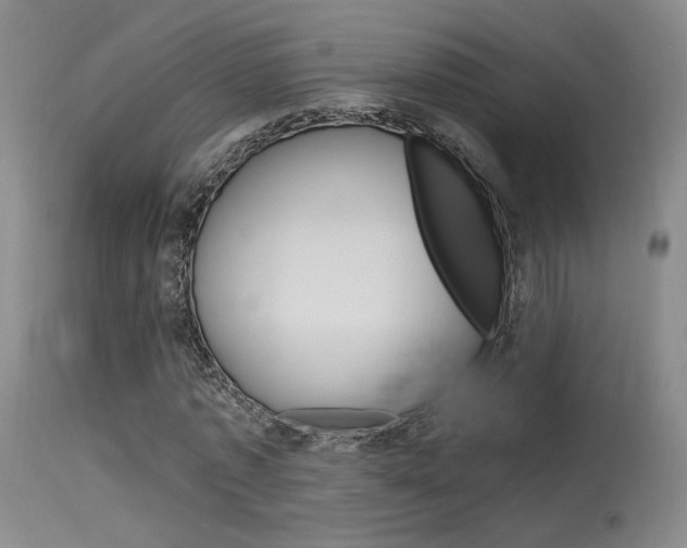 X0000115530773200911061126