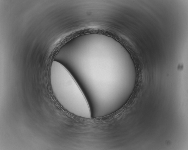 X0000115530776200911061126