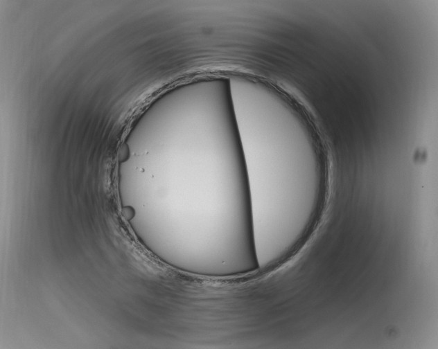 X0000115530777200911061126