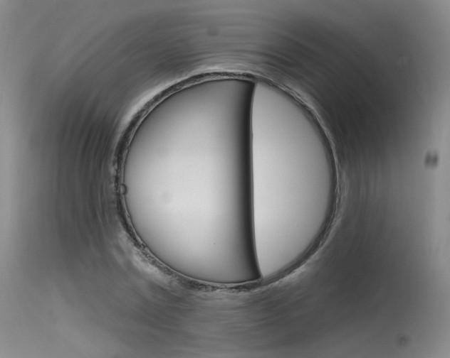 X0000115530779200911061126