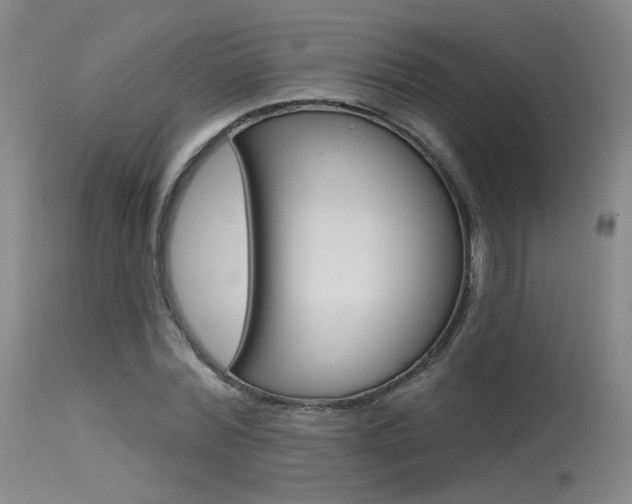 X0000115530780200911061126