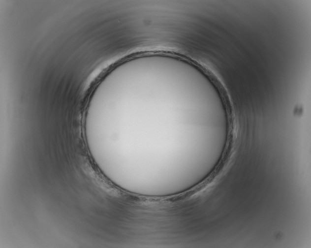 X0000115530781200911061126