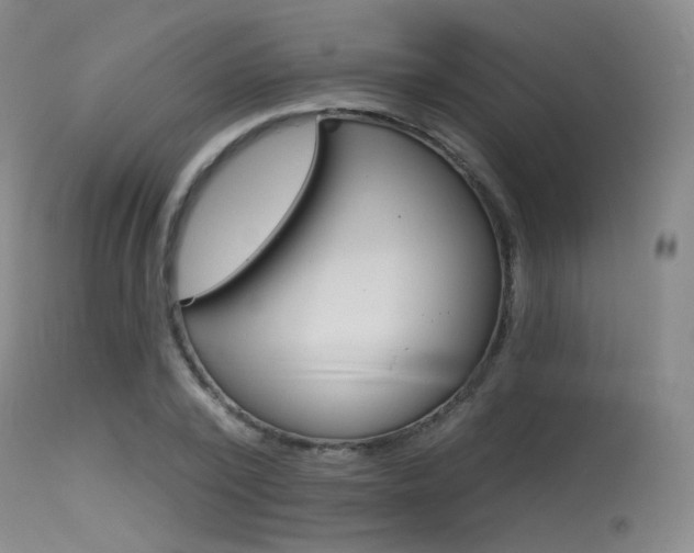 X0000115530784200911061126