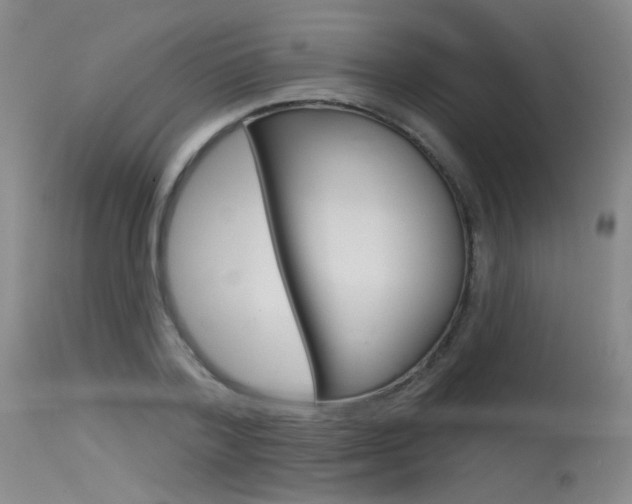 X0000115530788200911061126