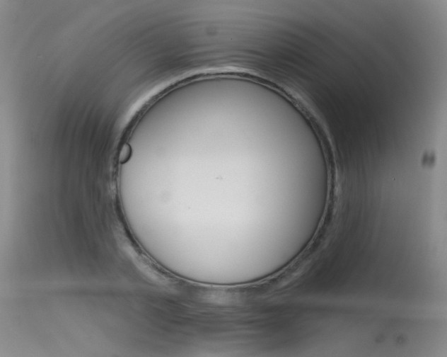 X0000115530789200911061126