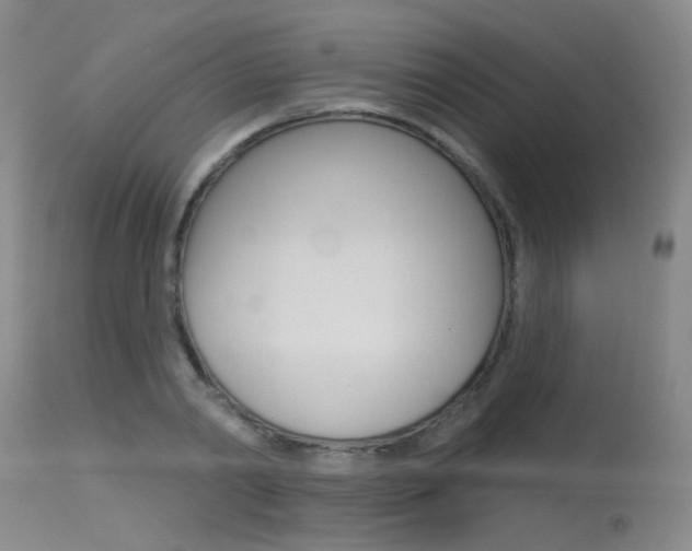 X0000115530790200911061126