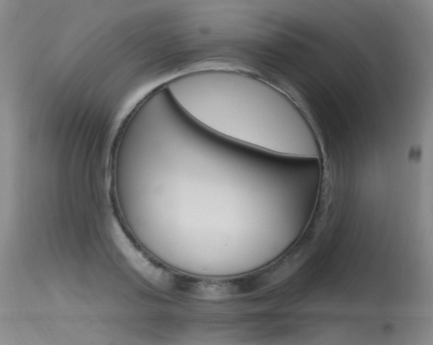 X0000115530795200911061126