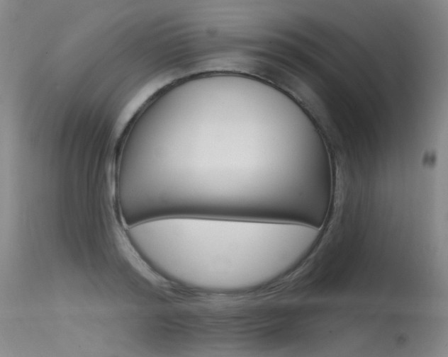 X0000115530796200911061126