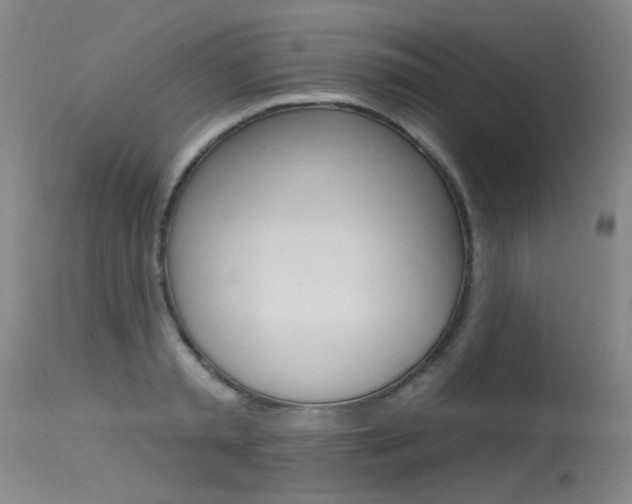 X0000115530797200911061126