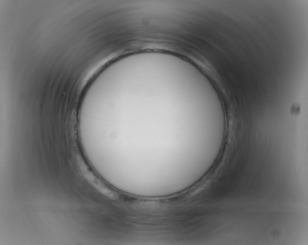 X0000115530798200911061126