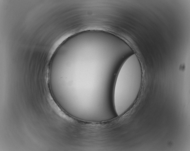 X0000115530804200911061126