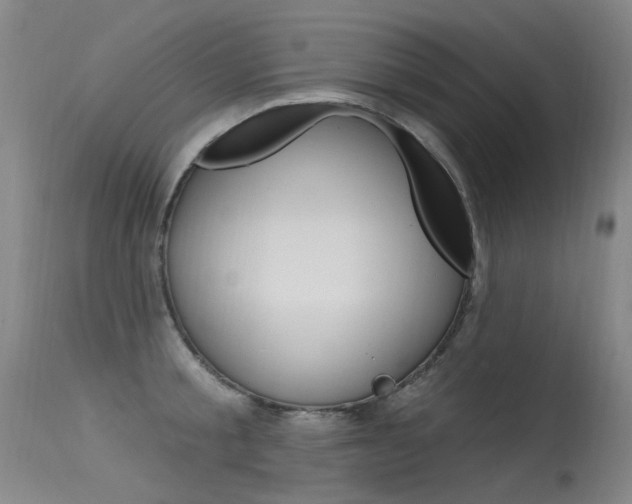 X0000115530805200911061126