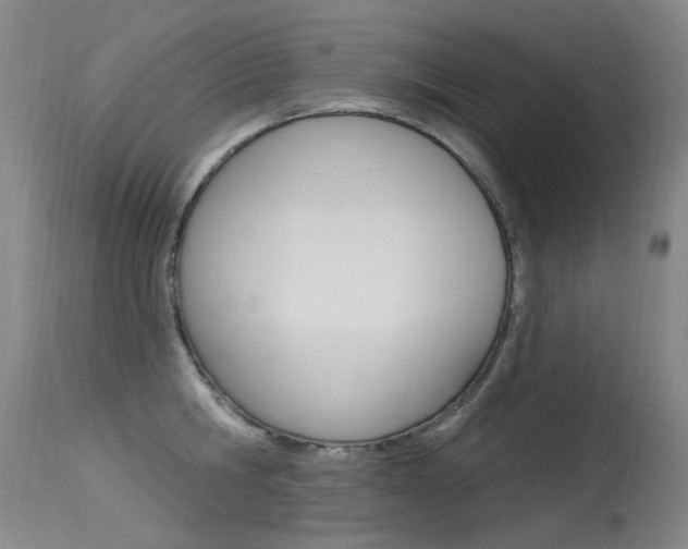 X0000115530806200911061126