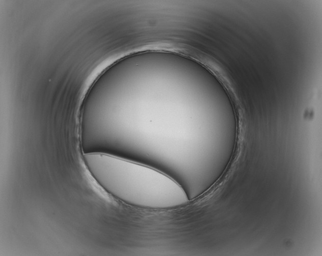 X0000115530808200911061126