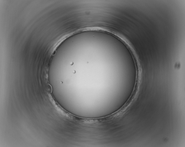 X0000115530809200911061125