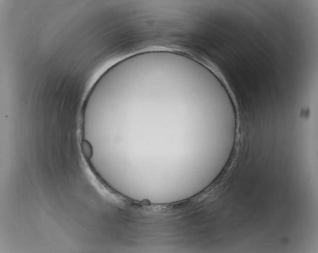 X0000115530811200911061125