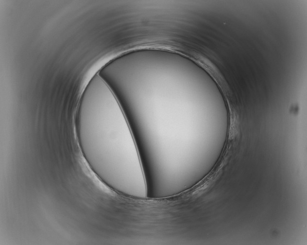 X0000115530812200911061125