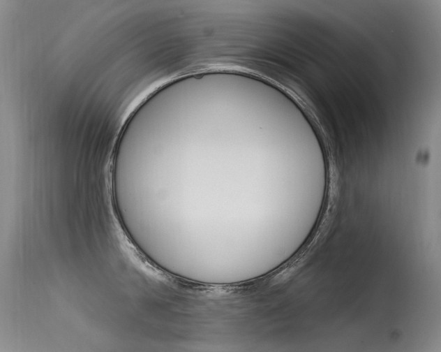 X0000115530814200911061125
