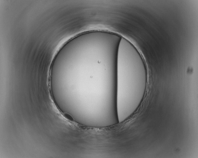 X0000115530815200911061125