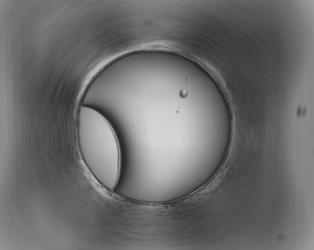 X0000115530816200911061125