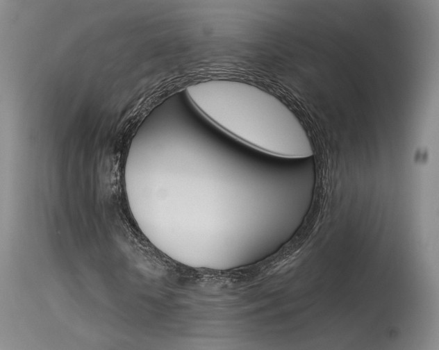 X0000115530818200911061125