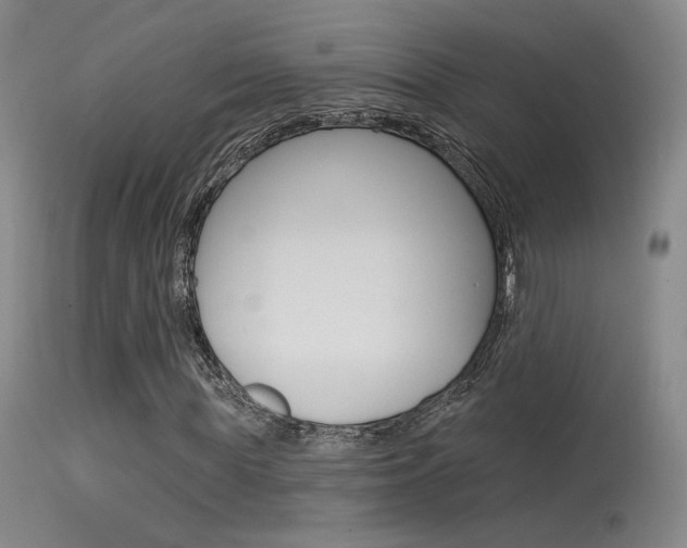 X0000115530819200911061125