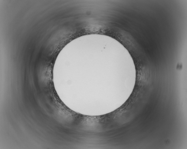 X0000115530820200911061125