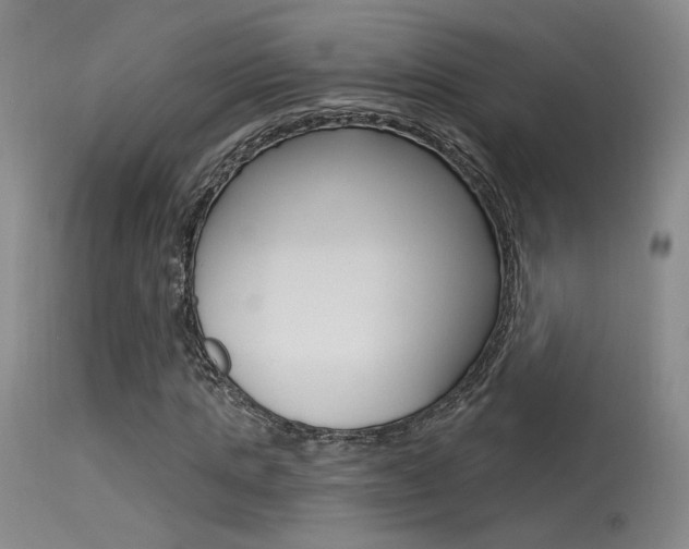 X0000115530821200911061125