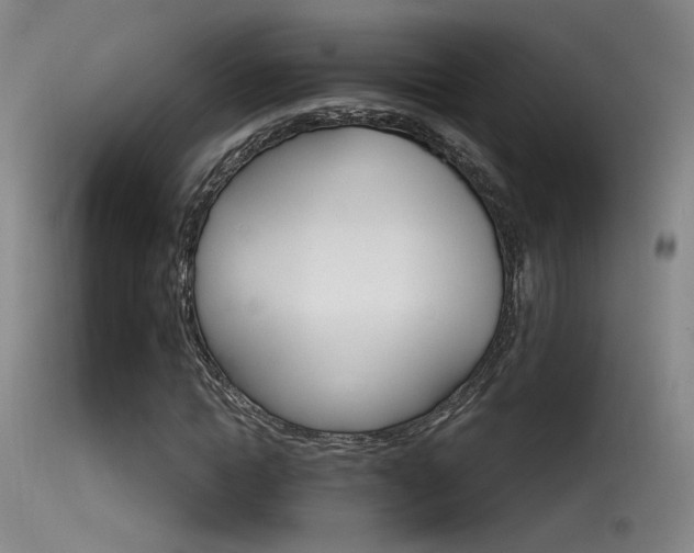 X0000115530822200911061125