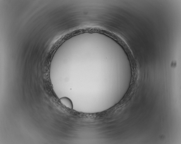 X0000115530823200911061125