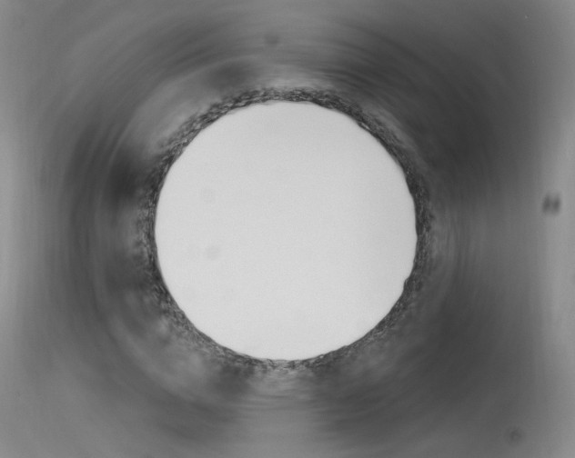 X0000115530824200911061125