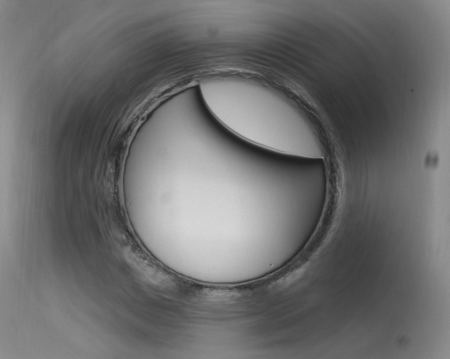 X0000115530825200911061125