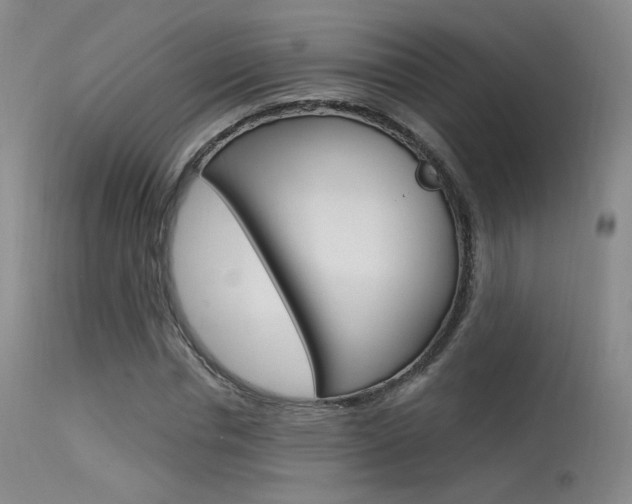 X0000115530826200911061125